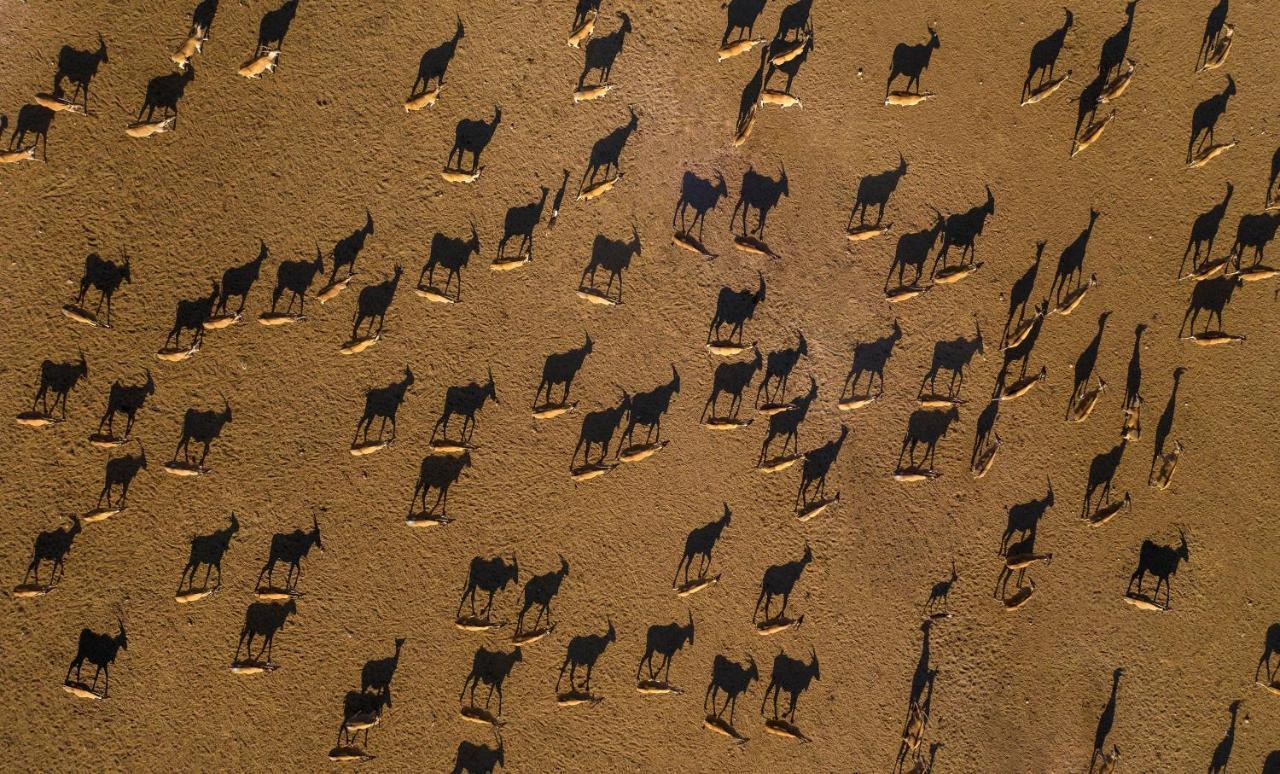 Anantara Sir Bani Yas Island Al Sahel Villas Zahr Exterior foto